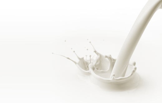 Milchallergie - Wenn die Milch unverträglich ist Milchunverträglichkeit
