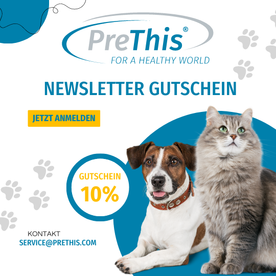 PreThis Newsletter Gutschein