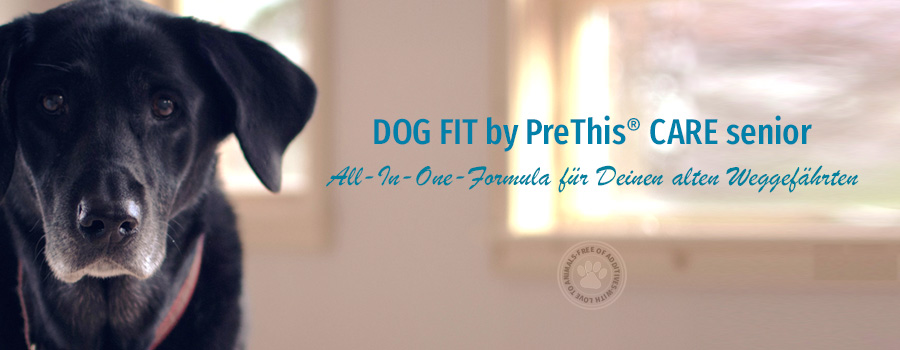 DOG FIT by PreThis für eine gute Sehkraft der Augen