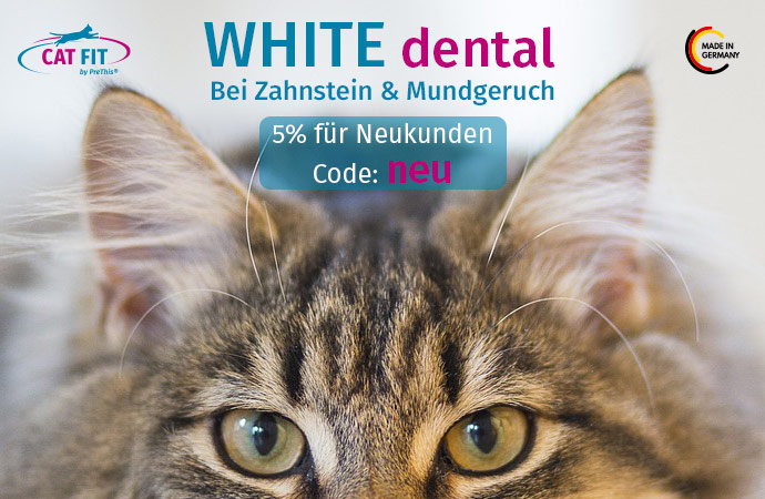 CAT FIT WHITE dental Gutschein
