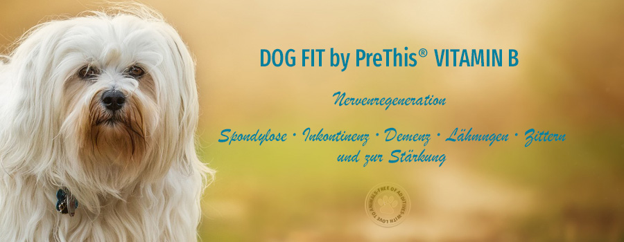 DOG FIT by PreThis VITAMIN B für das Nervensystem