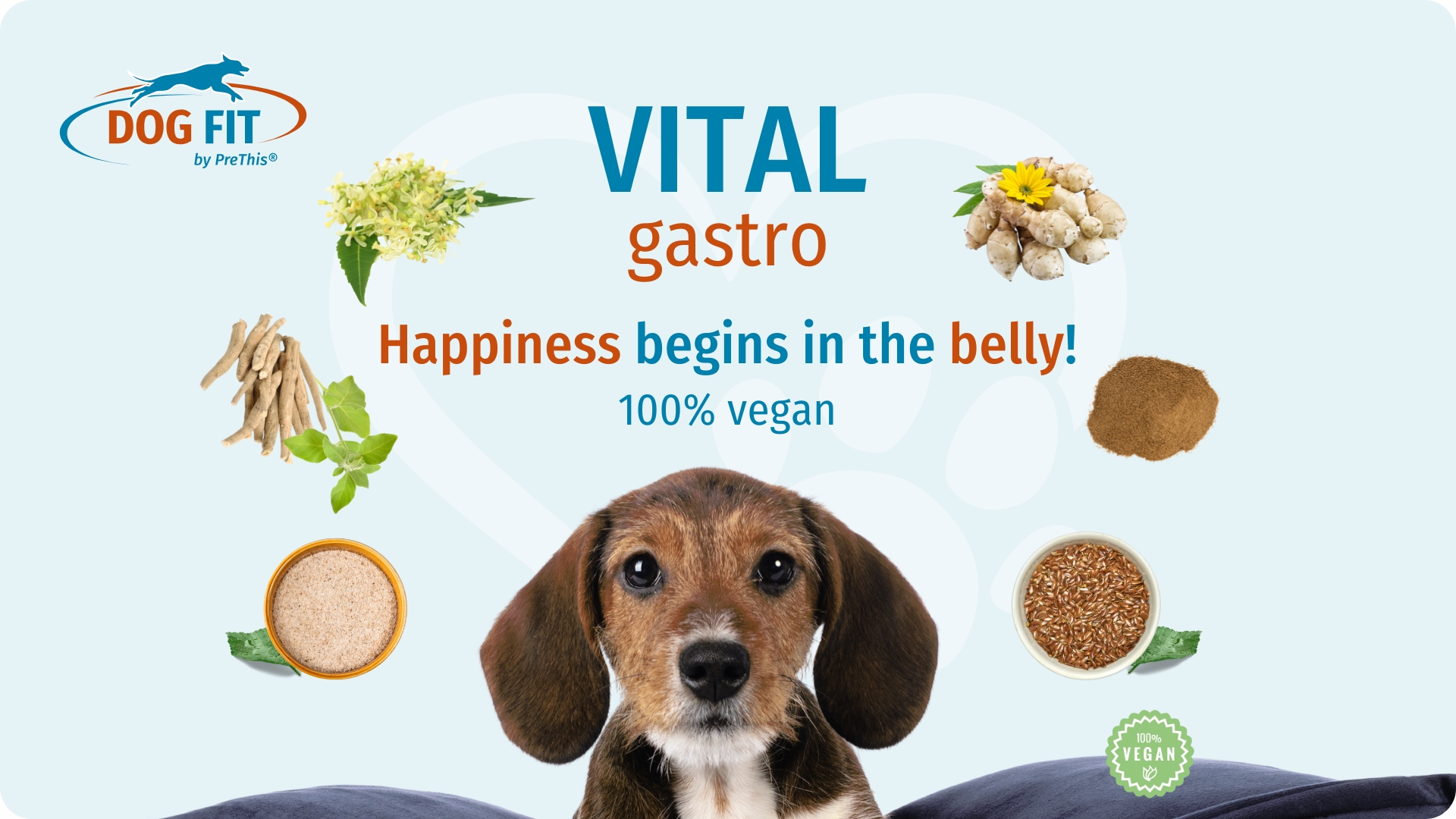 DOG FIT by PreThis VITAL gastro