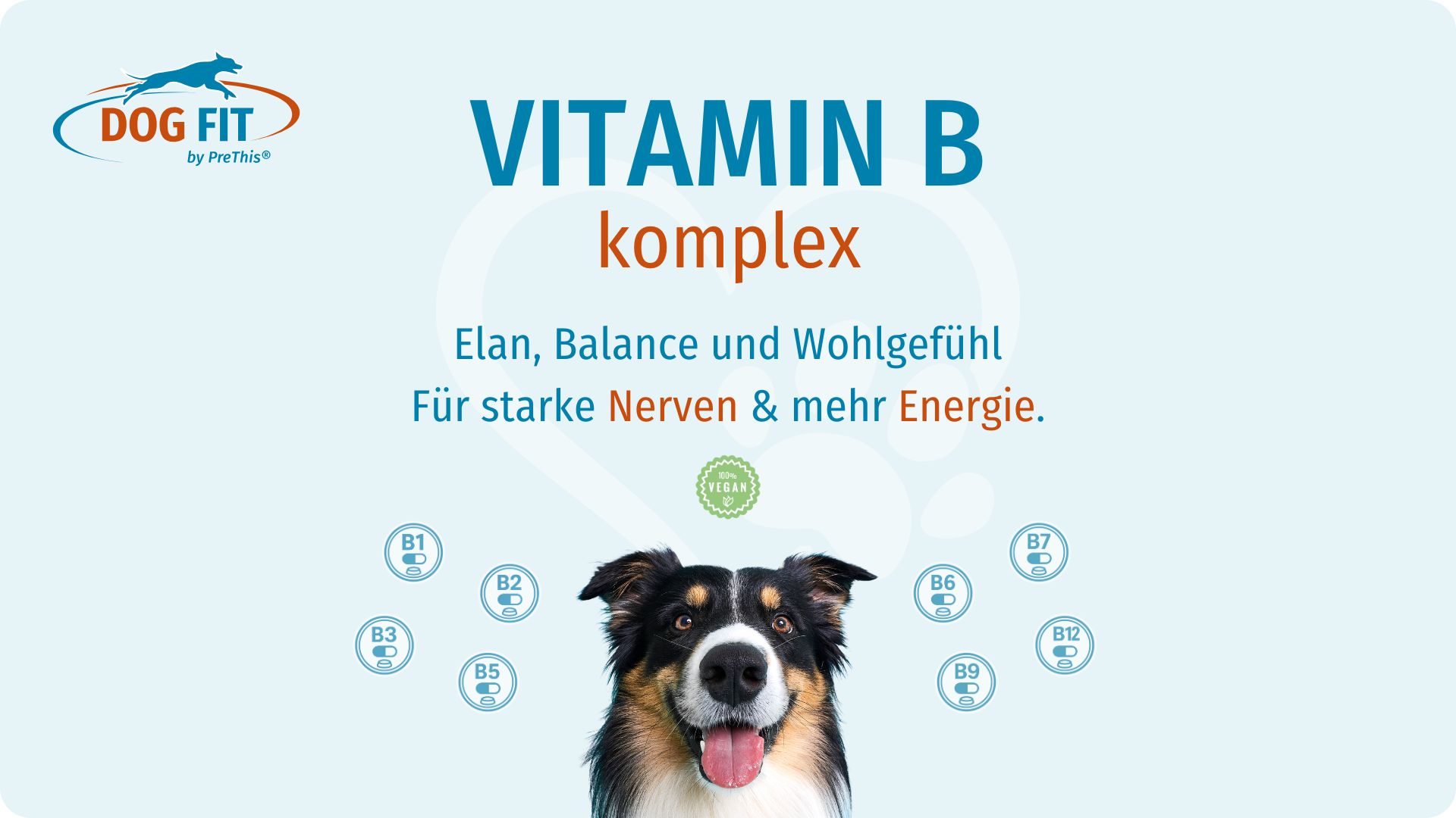 DOG FIT by PreThis® VITAMIN B &amp; VITAL regeneration
