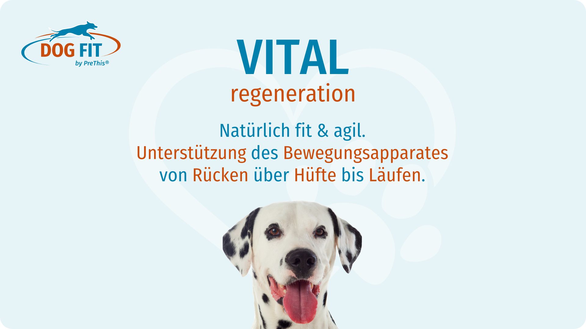 DOG FIT by PreThis® VITAMIN B &amp; VITAL regeneration