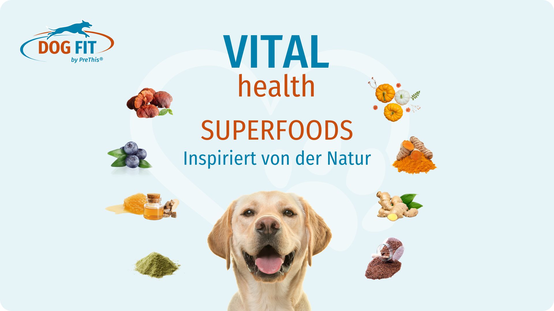 DOG FIT by PreThis VITAL health