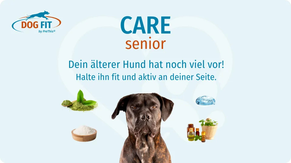 CARE senior Ergänzung für alte Hunde Hunde