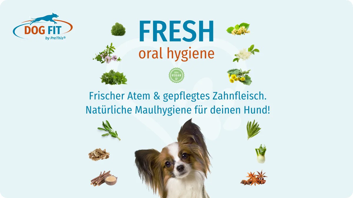 FRESH für frischen Atem und Zahnfleischpflege von Hunden