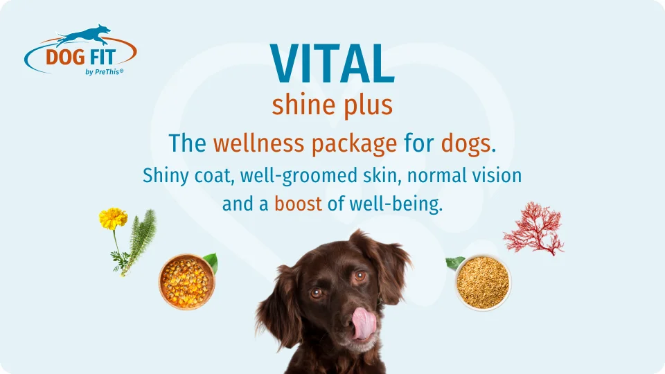 VITAL shine plus für Skin and Coat of dogs